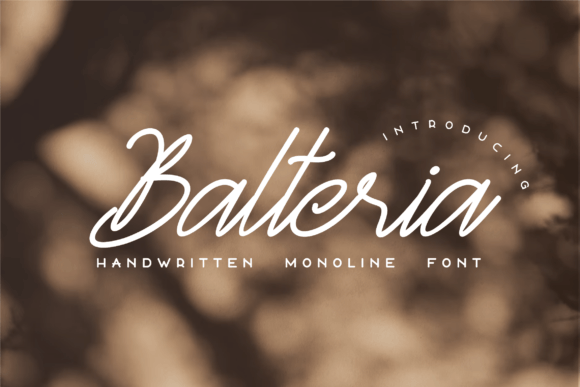 Balteria Sulbarline: A Modern Font for Digital Brand Identity