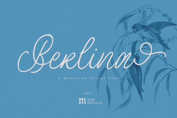 Berlina: A Font for Natural and Stylish Branding