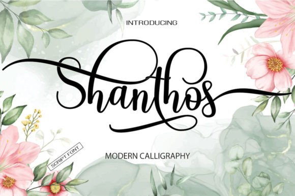 Choosing Shanthos: A Script Font That Elevates Digital Brand Presence