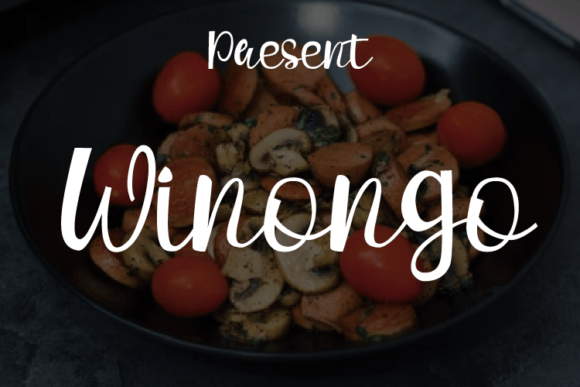 Winongo: A Handwritten Font for Editorial Serenity
